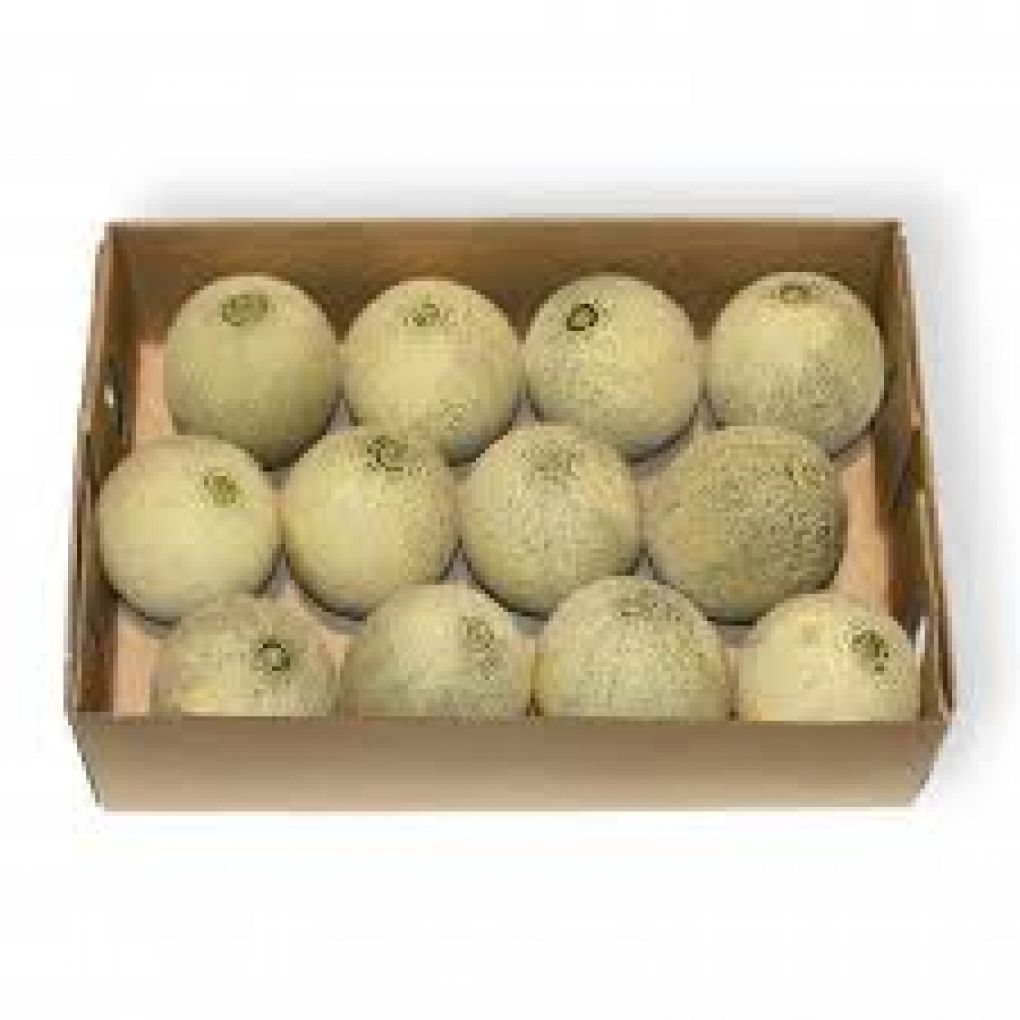 Sweet Melon Box/10 Melons