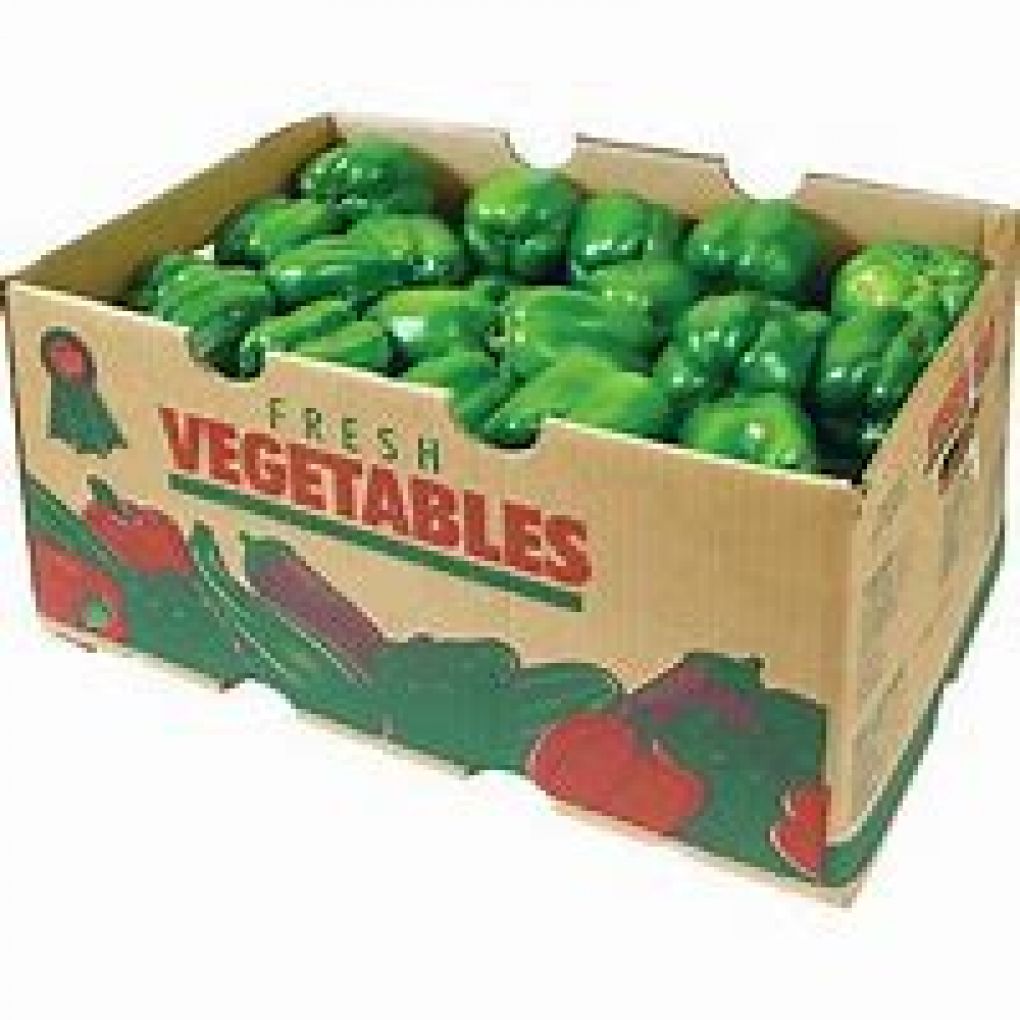 Green Pepper Box/5kg