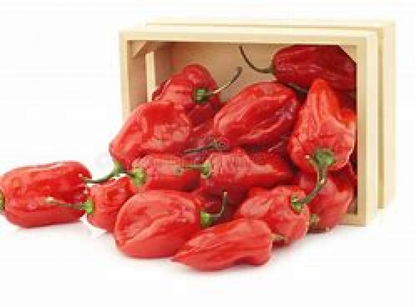 Red Pepper Box/5kg