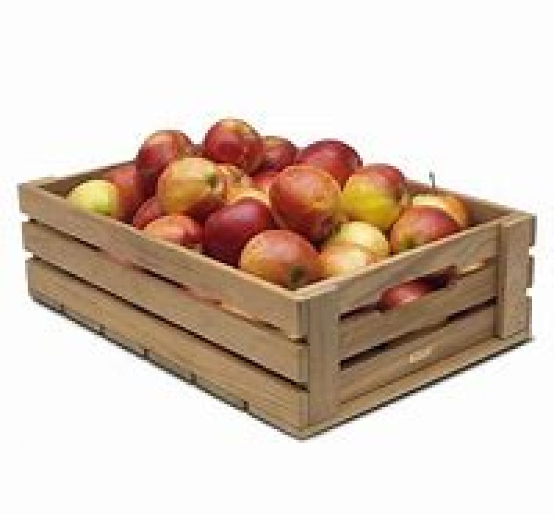 Apple Box/6Kg