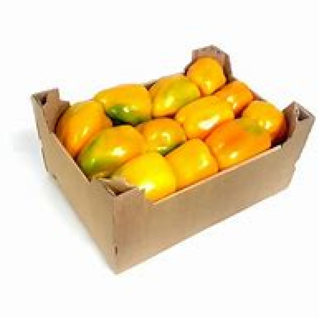 Yellow Pepper Box/5kg
