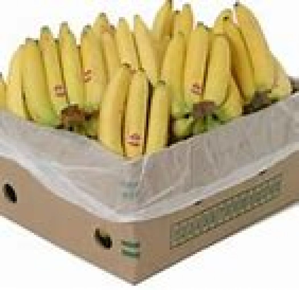 Banana Box/ 18Kg