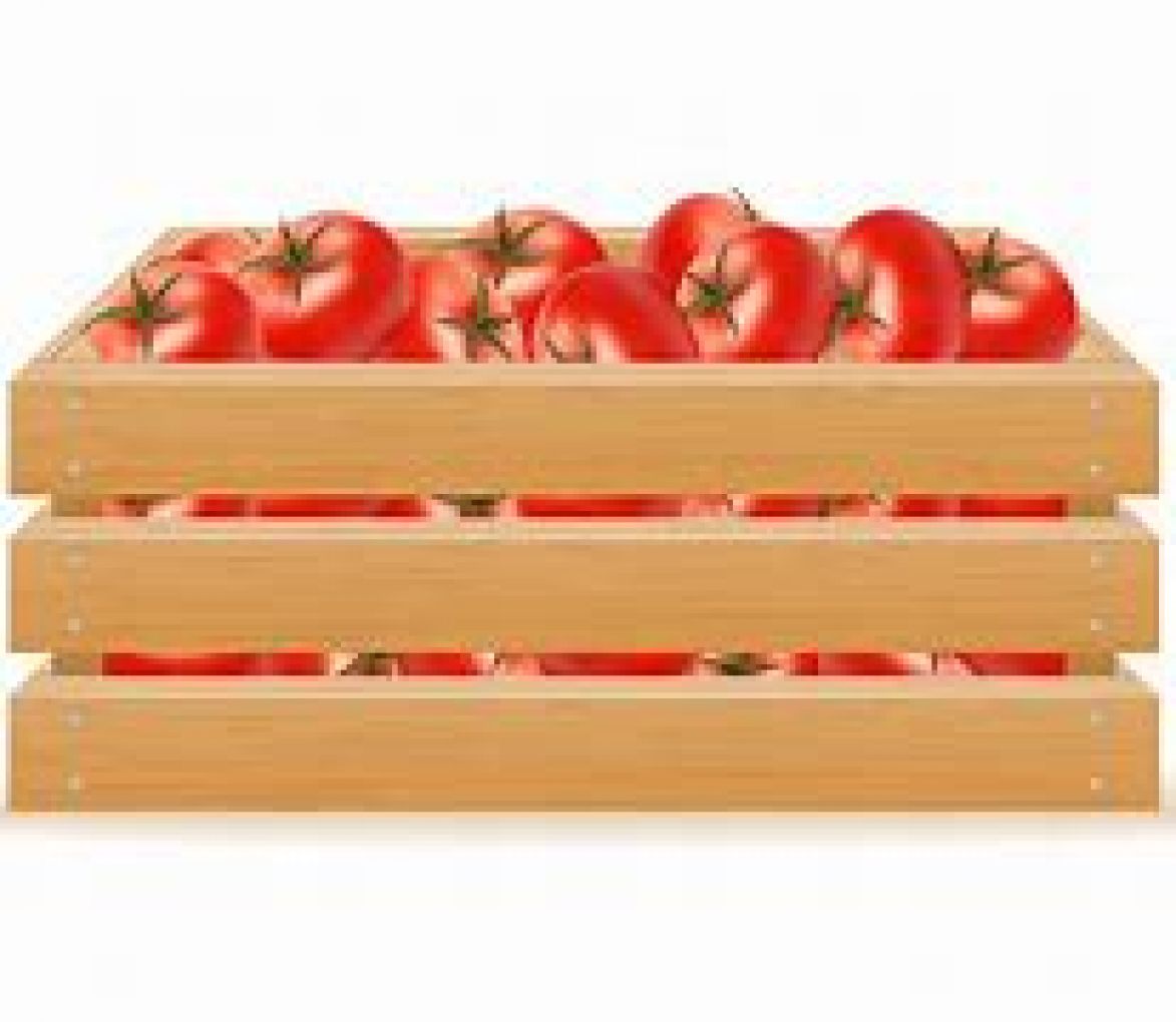 Tomato Box/10kg