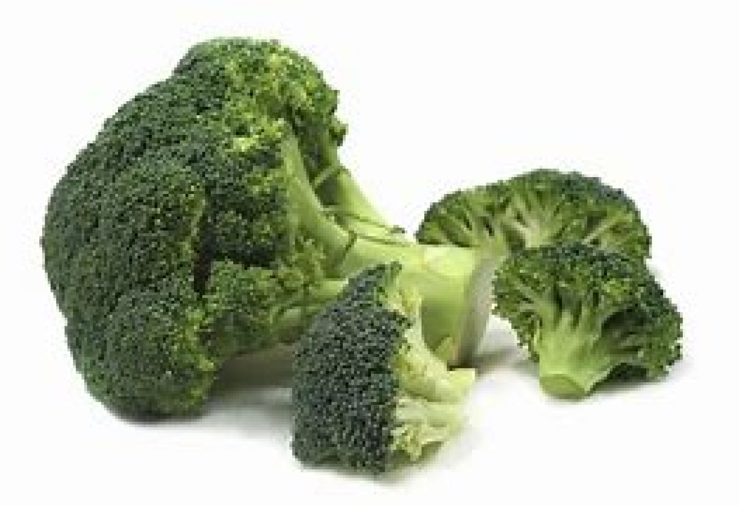 Broccoli/Head